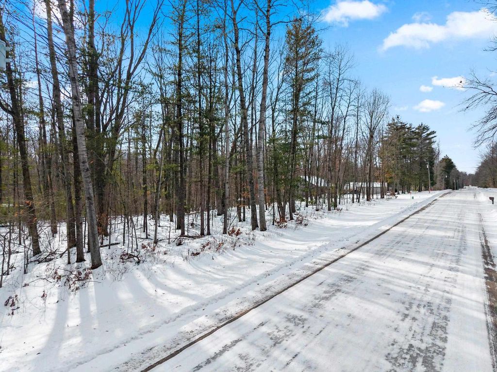 Photo of 6751 Oconto River Shores LANE, Oconto Falls, WI 54154 (MLS # 50320599)