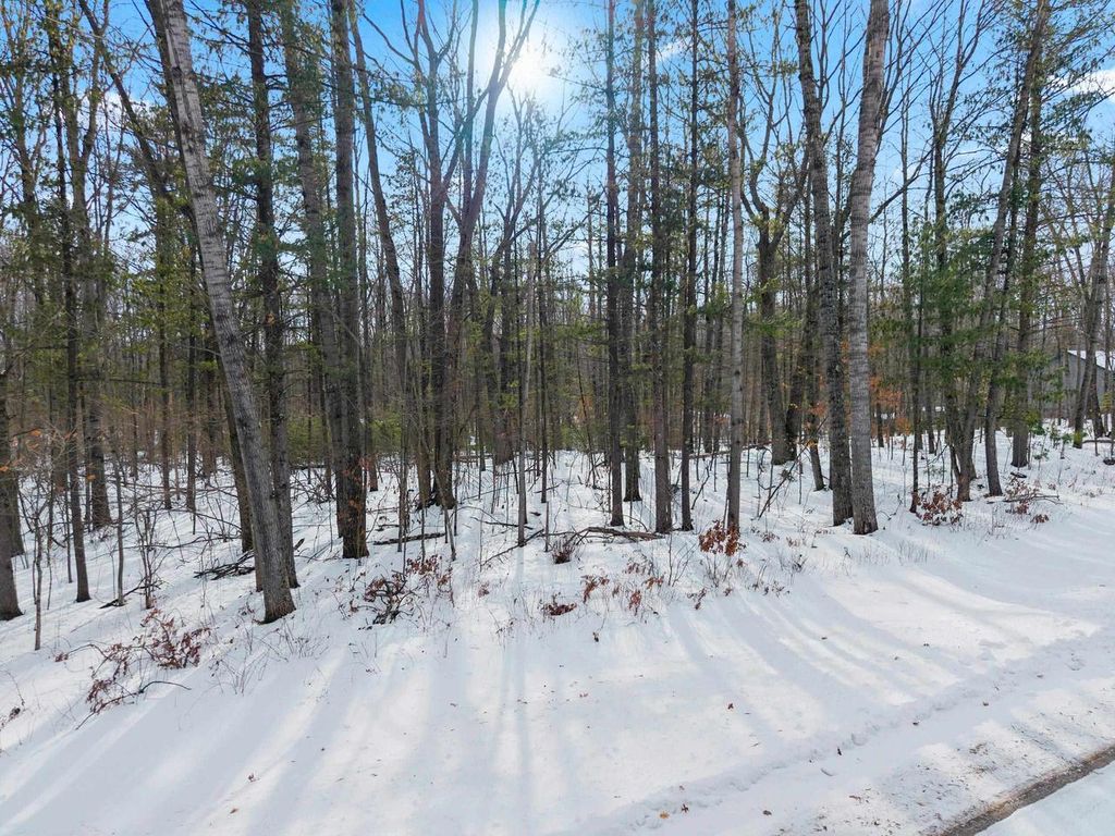 Photo of 6751 Oconto River Shores LANE, Oconto Falls, WI 54154 (MLS # 50320599)