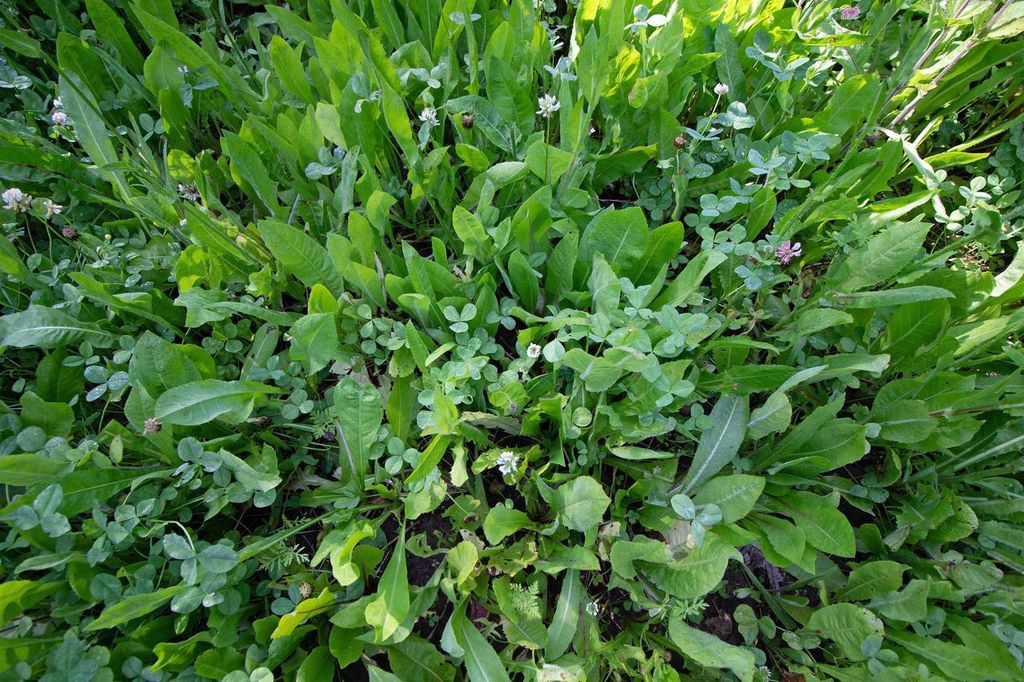 Photo of 76 acres Skyline ROAD, Blue River, WI 53518 (MLS # 2026883)