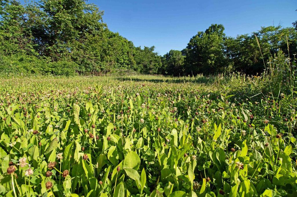 Photo of 76 acres Skyline ROAD, Blue River, WI 53518 (MLS # 2026883)