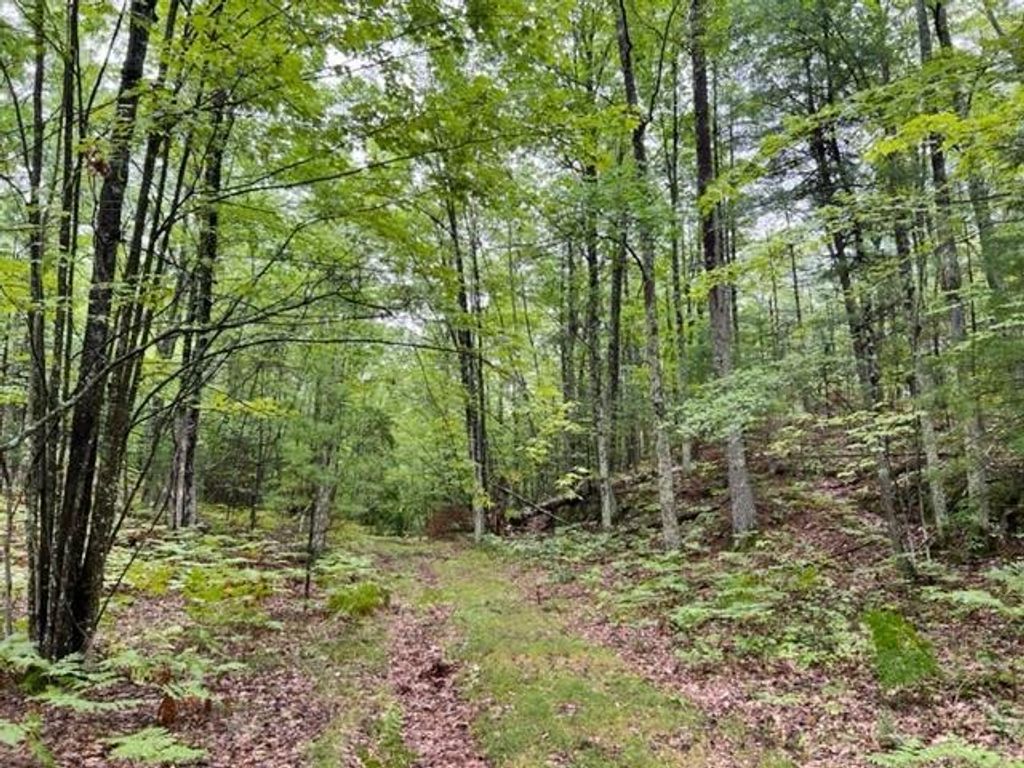 Photo of County Rd Oo, Pembine, WI 54156 (MLS # 50325598)
