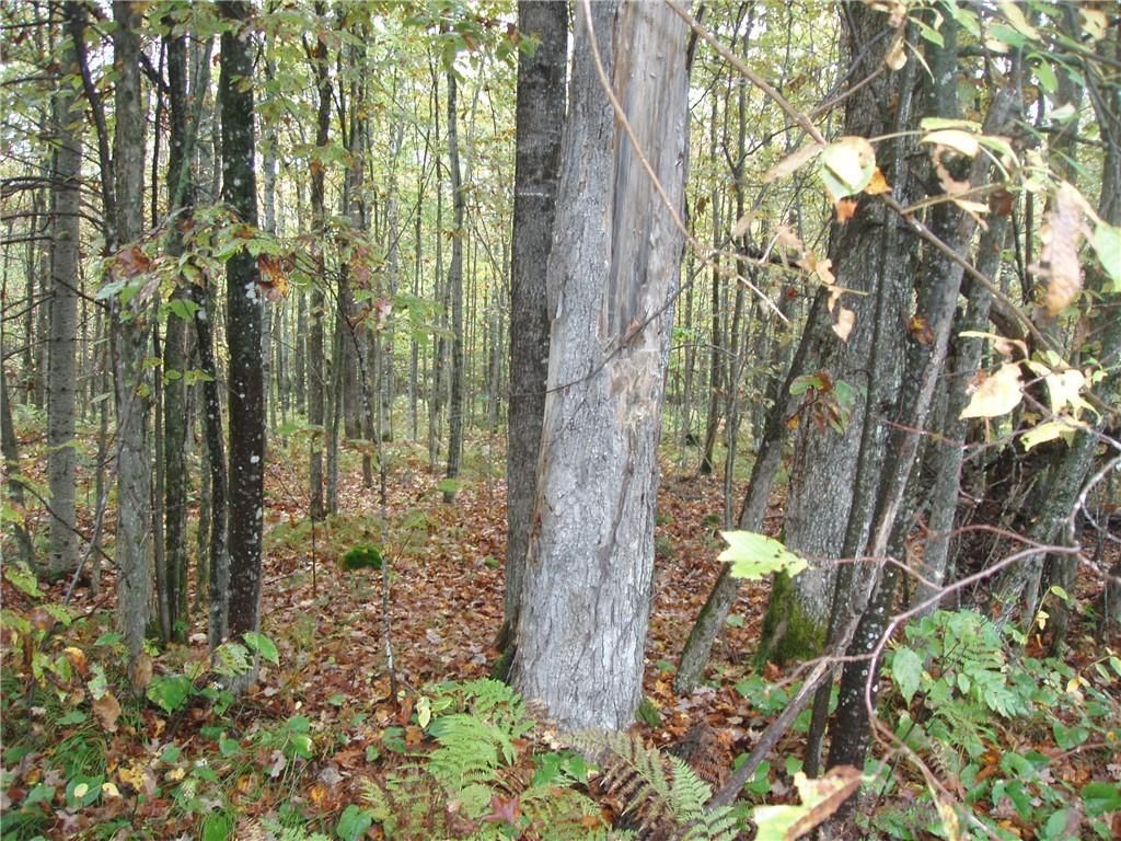 Photo of 80+/- Acres On Bass Lake ROAD, Park Falls, WI 54552 (MLS # 1595724)