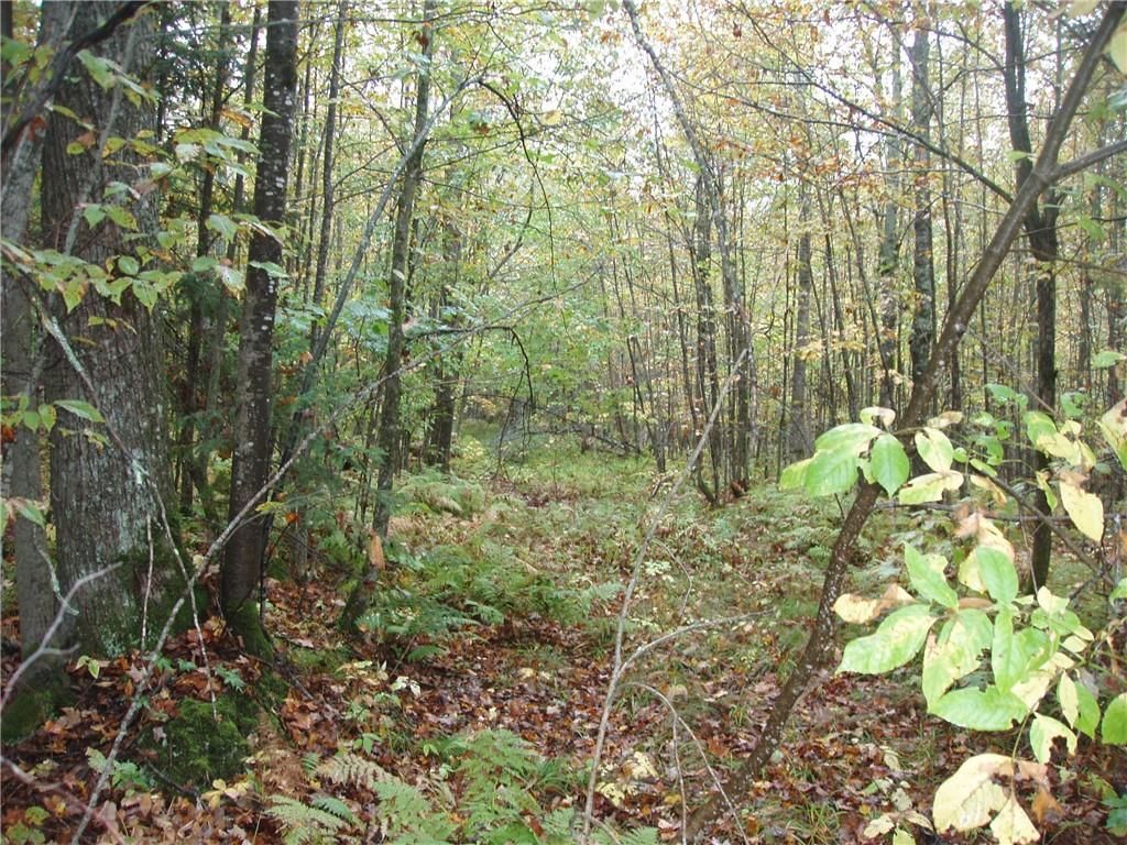 Photo of 80+/- Acres On Bass Lake ROAD, Park Falls, WI 54552 (MLS # 1595724)