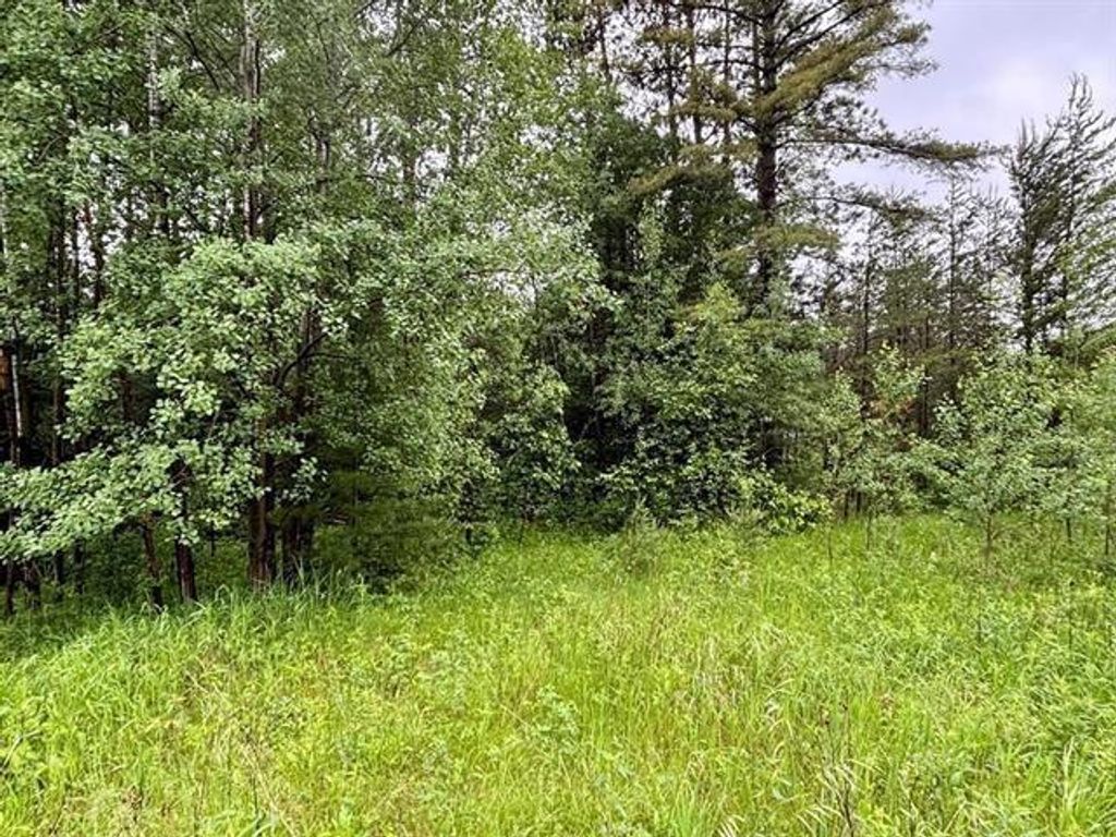 Photo of 1.03 Acres County Road X, Kronenwetter, WI 54455 (MLS # 22600299)