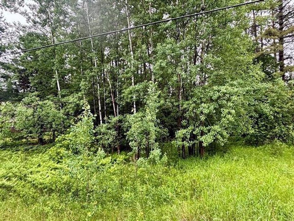 Photo of 1.03 Acres County Road X, Kronenwetter, WI 54455 (MLS # 22600299)