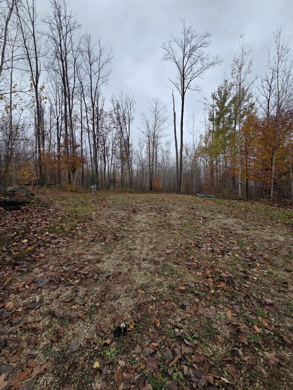 Photo of W5438 Bigwoods TRAIL, Pembine, WI 54156 (MLS # 50318569)