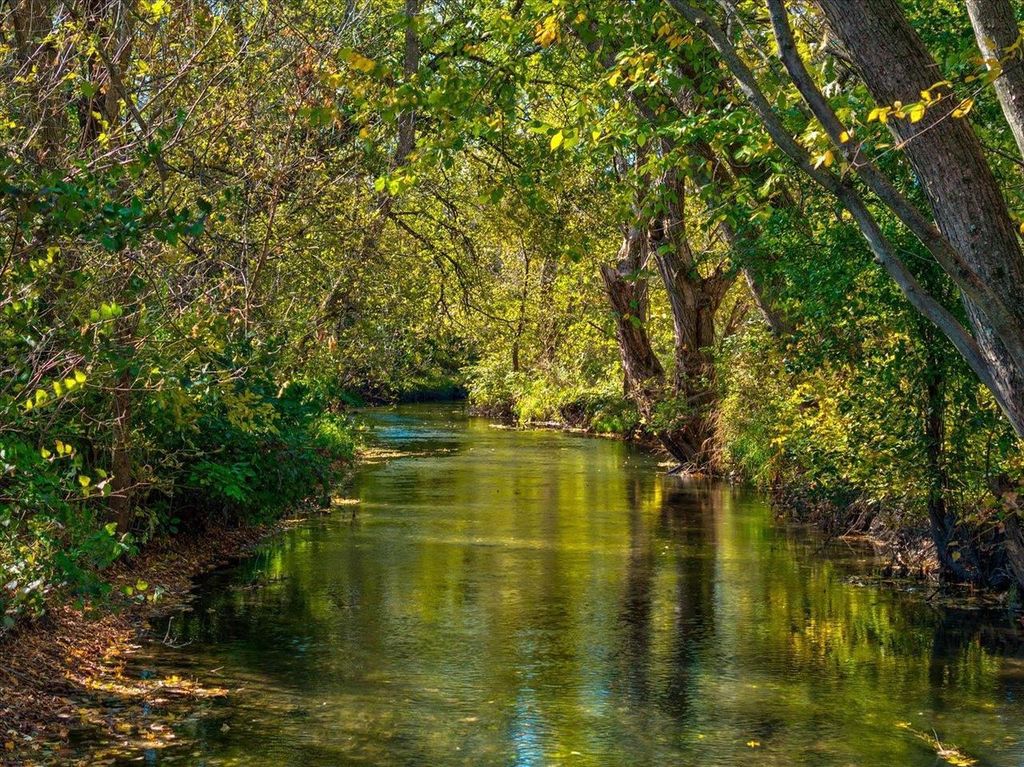 Photo of 332 Harvard DRIVE, Deforest, WI 53532 (MLS # 2013733)