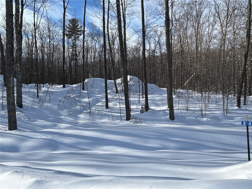 Photo of 10191N Hardwood Hills DRIVE, Hayward, WI 54843 (MLS # 1597948)