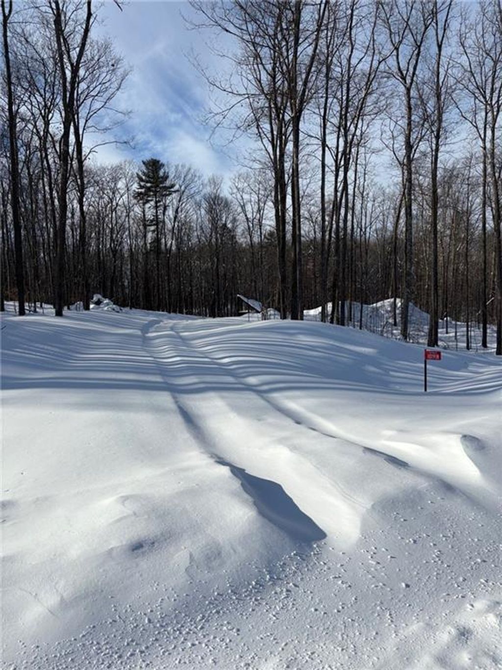 Photo of 10191N Hardwood Hills DRIVE, Hayward, WI 54843 (MLS # 1597948)