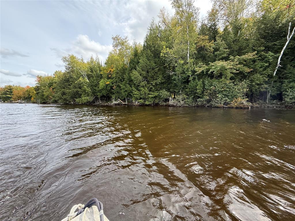 Photo of TBD Woodduck LANE, Hayward, WI 54843 (MLS # 1605510)