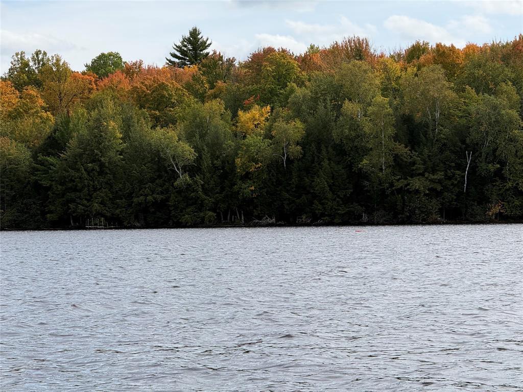 Photo of TBD Woodduck LANE, Hayward, WI 54843 (MLS # 1605510)