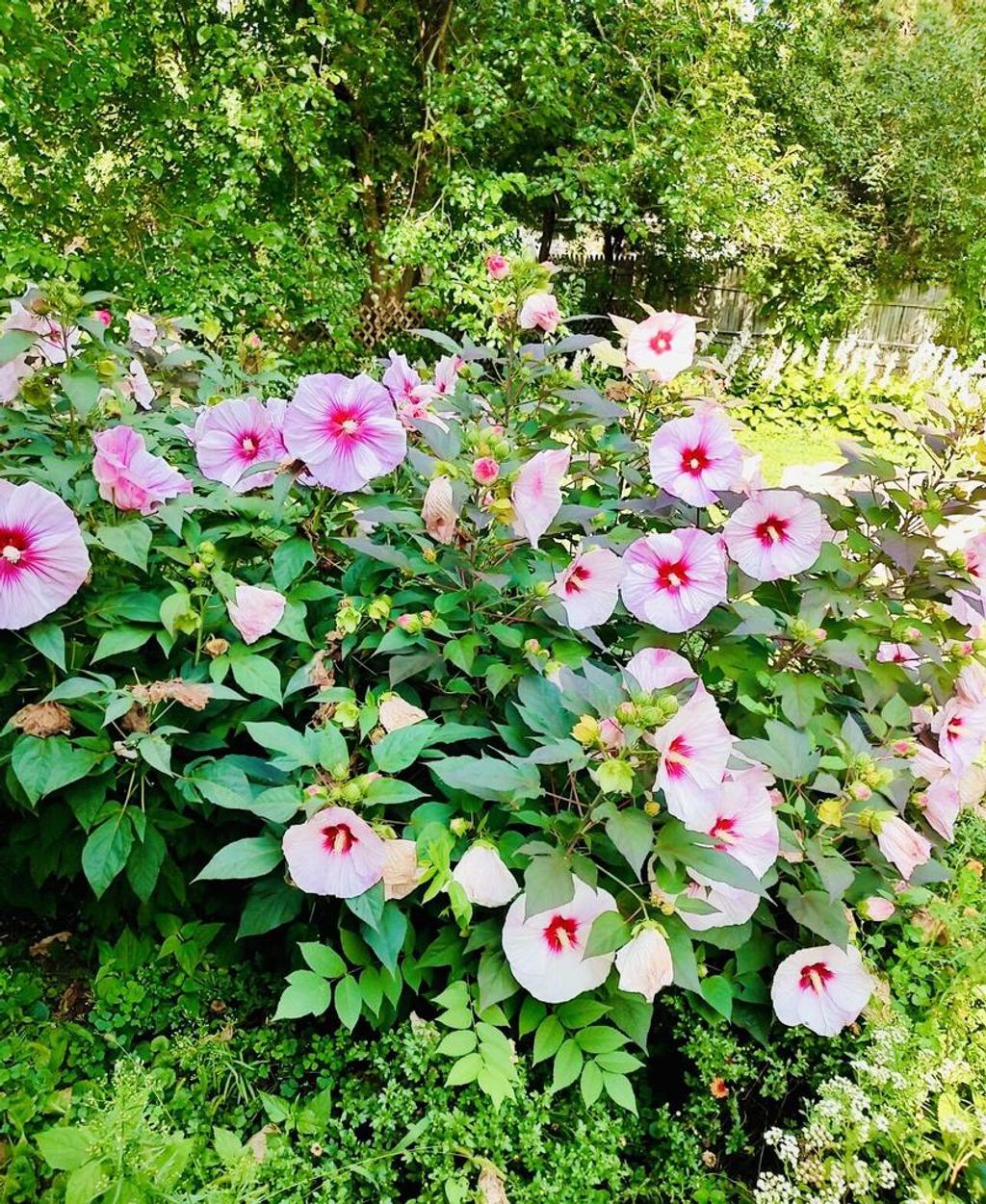 Photo of 913 Chapel Hill ROAD, Madison, WI 53711 (MLS # 1948987)