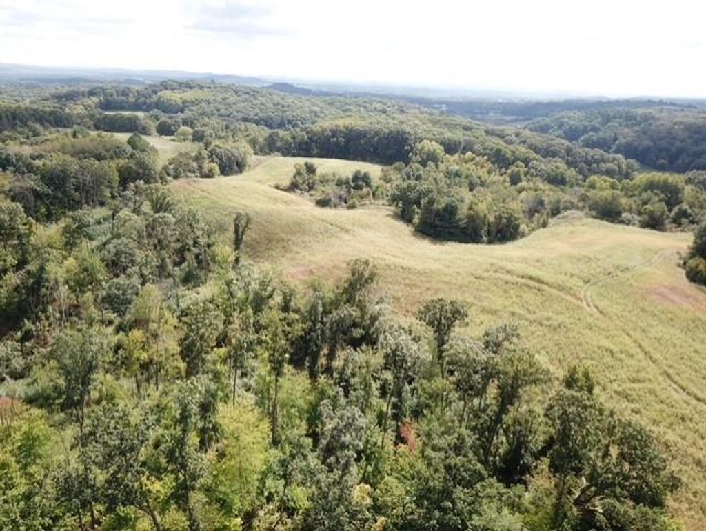 Photo of 00 Roningen ROAD, Black River Falls, WI 54615 (MLS # 1595881)