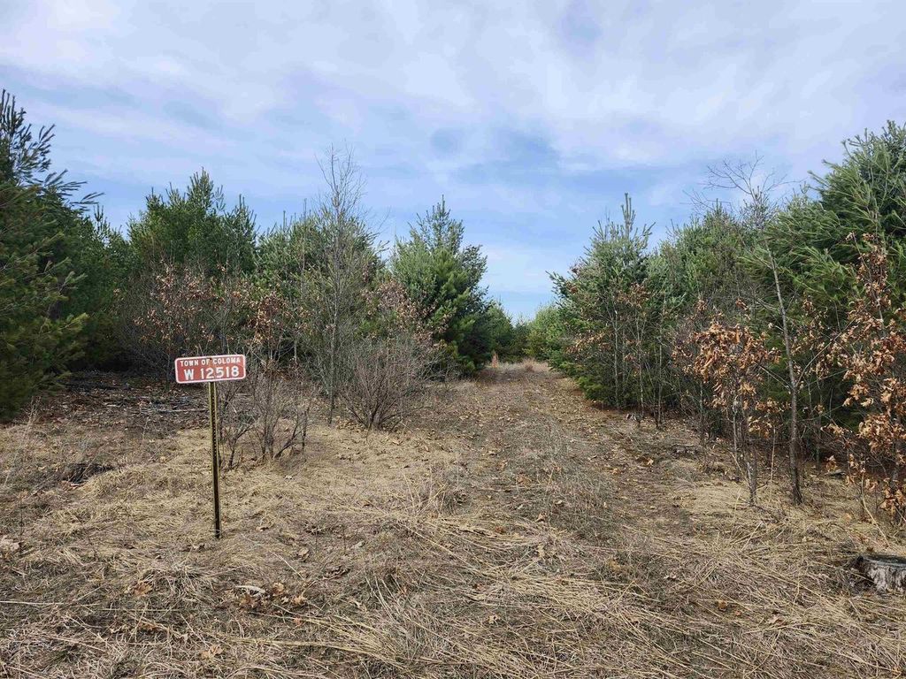 Photo of 00 Czech AVENUE, Coloma, WI 54930 (MLS # 50322873)