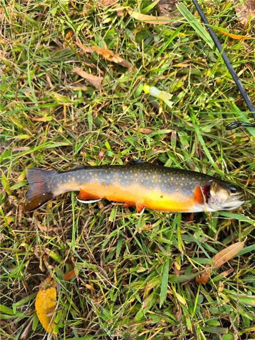 Photo of 0 County Hwy M, New Auburn, WI 54757 (MLS # 1597878)