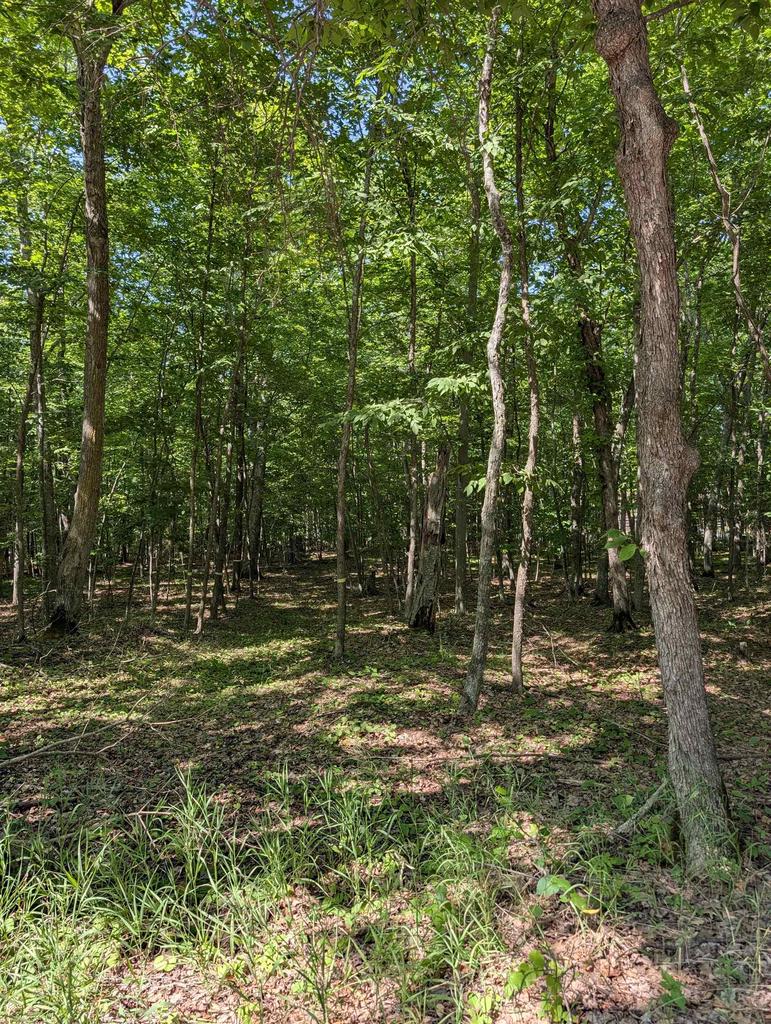 Photo of Jackson Harbor ROAD, Washington Island, WI 54246 (MLS # 50328899)