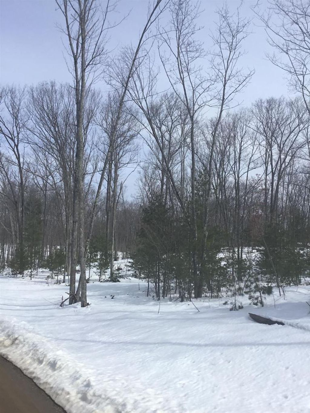 Photo of Rhett LANE, Wausaukee, WI 54177 (MLS # 50322624)