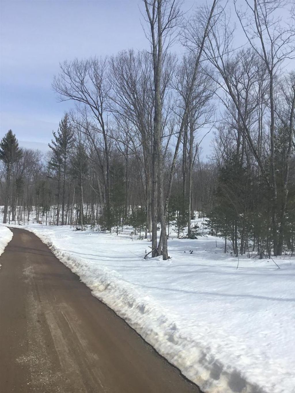 Photo of Rhett LANE, Wausaukee, WI 54177 (MLS # 50322624)