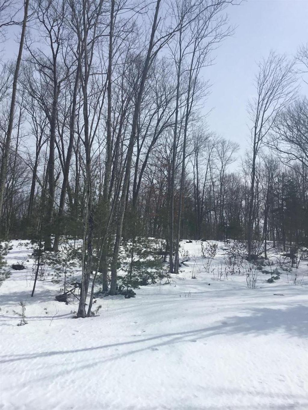 Photo of Rhett LANE, Wausaukee, WI 54177 (MLS # 50322624)