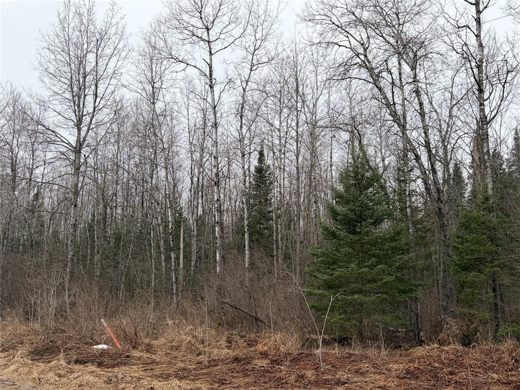 Photo of ON Old Couderay Road, Couderay, WI 54828 (MLS # 1599293)