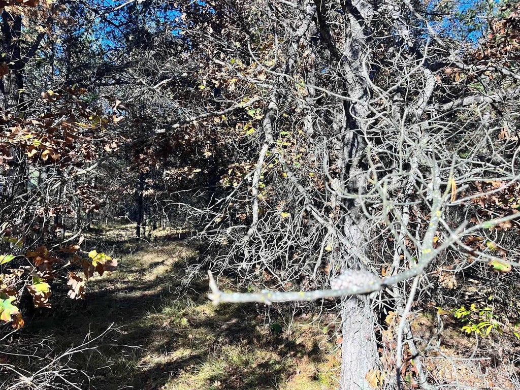 Photo of 1115 15th AVENUE, Arkdale, WI 54613 (MLS # 2034870)
