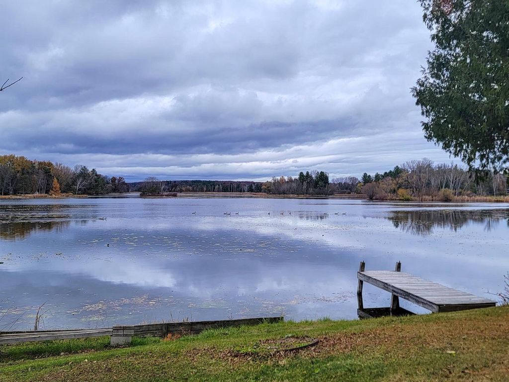 Photo of 325 Water STREET, Iola, WI 54945 (MLS # 50314678)