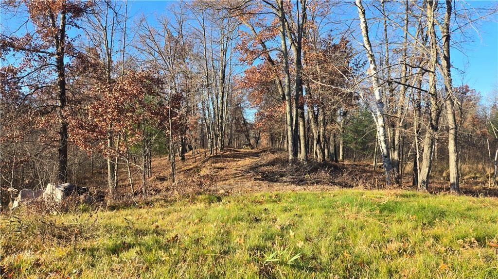 Photo of 15573 State Hwy 64, Bloomer, WI 54724 (MLS # 1596901)