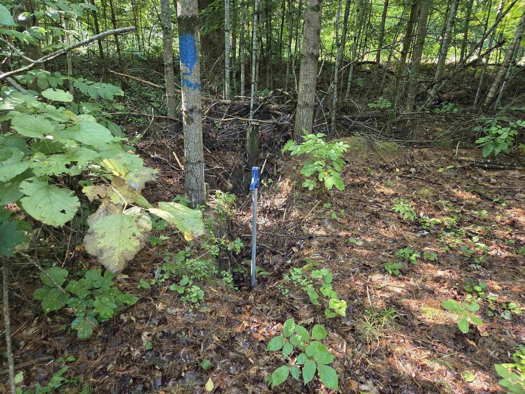 Photo of W Sweetheart City ROAD, Middle Inlet, WI 54177 (MLS # 50331656)