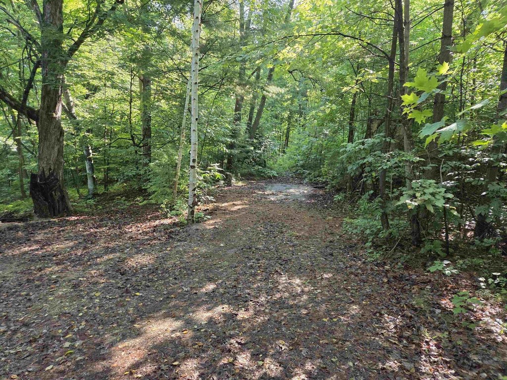 Photo of W Sweetheart City ROAD, Middle Inlet, WI 54177 (MLS # 50331656)