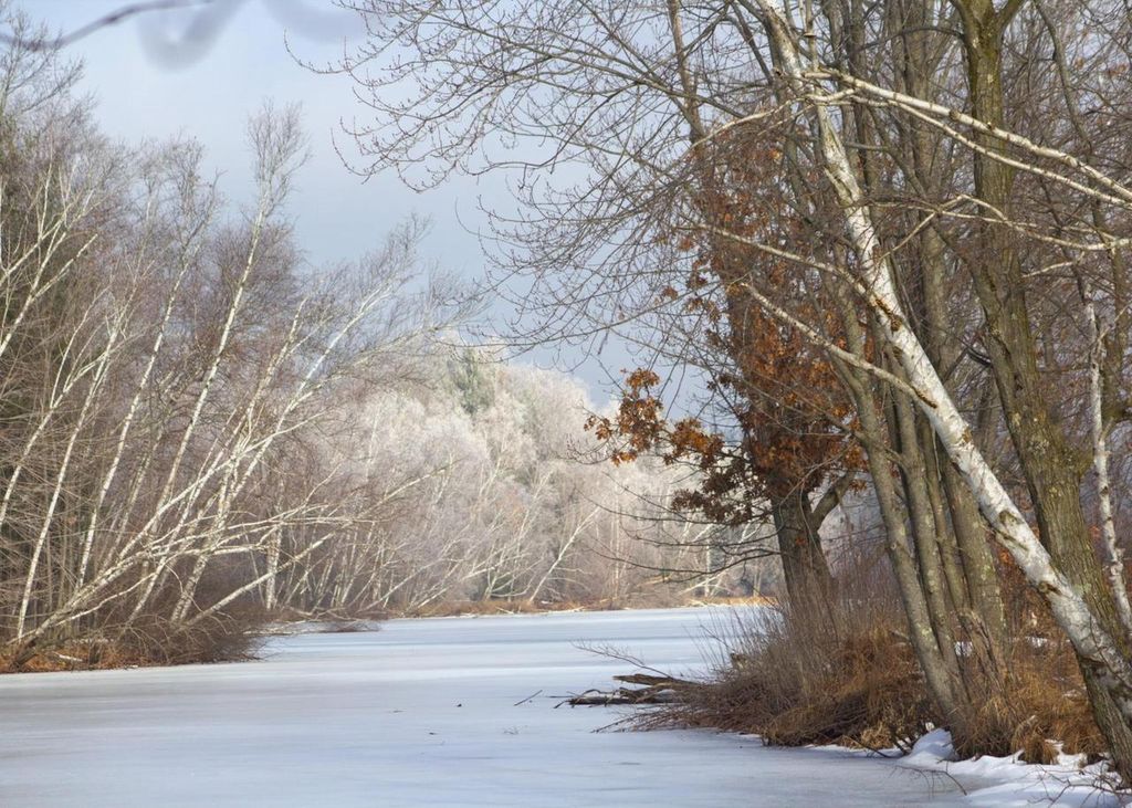 Photo of N1028 Chalet DRIVE, Waupaca, WI 54981 (MLS # 50320255)