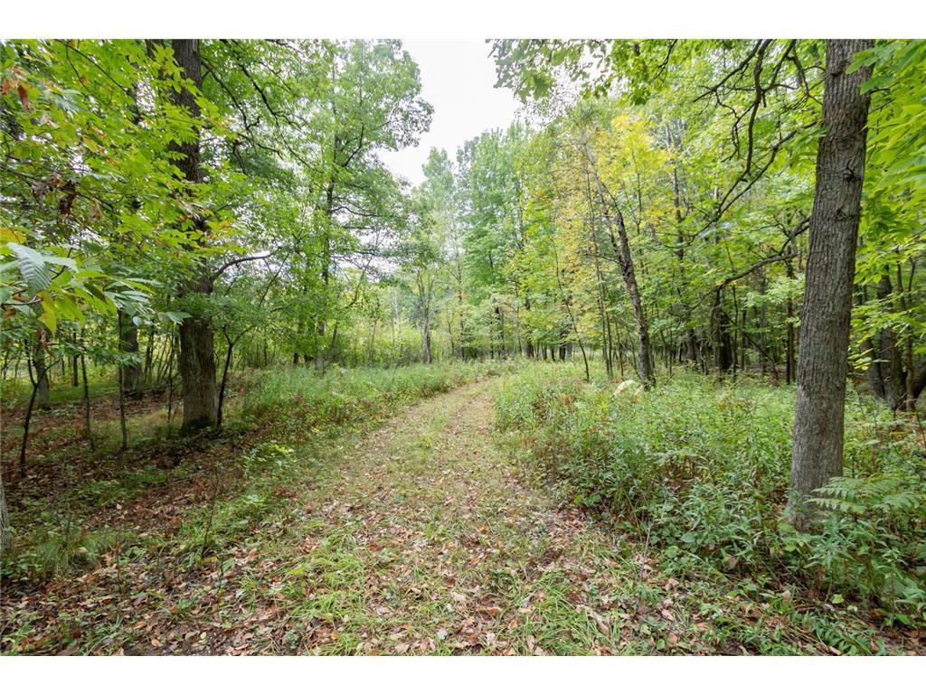 Photo of 20 Acres 153rd AVENUE, Balsam Lake, WI 54810 (MLS # 7146175)