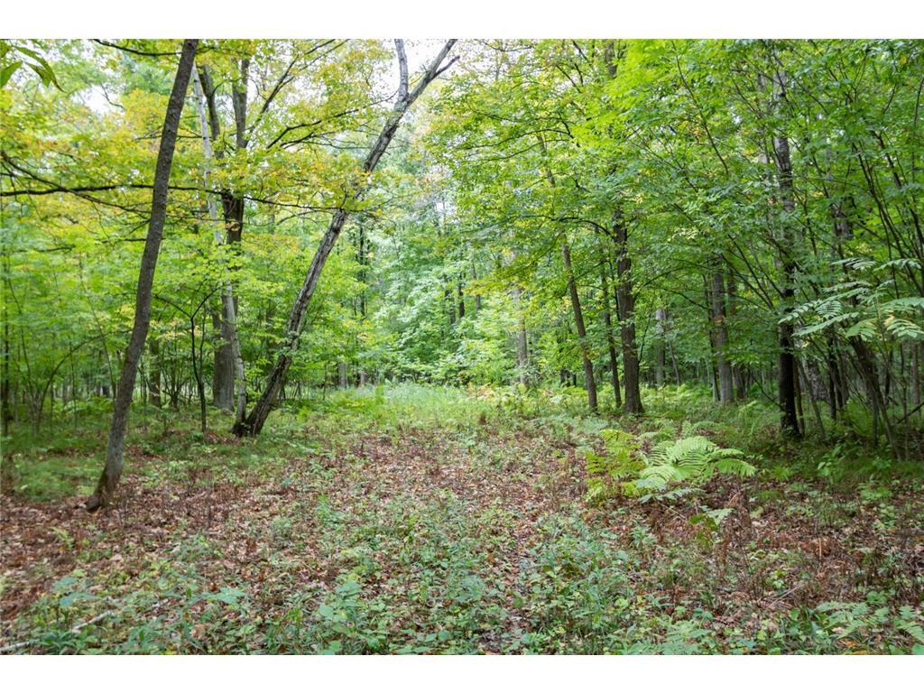 Photo of 20 Acres 153rd AVENUE, Balsam Lake, WI 54810 (MLS # 7146175)