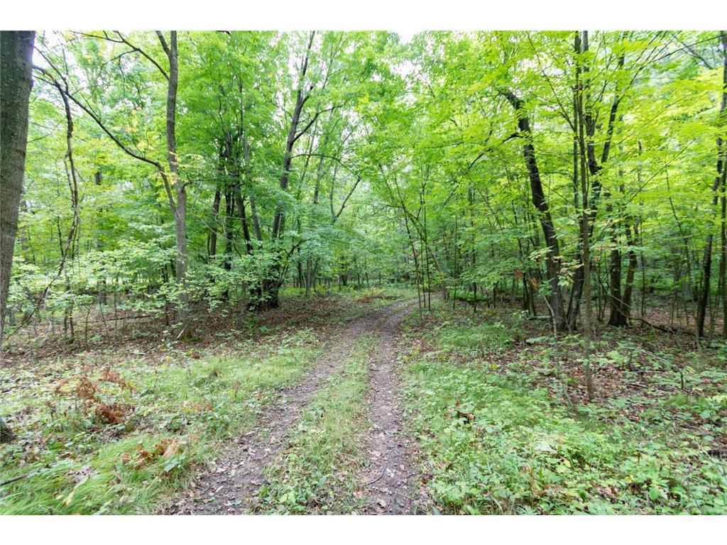 Photo of 20 Acres 153rd AVENUE, Balsam Lake, WI 54810 (MLS # 7146175)