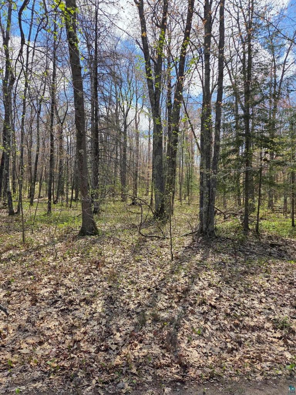 Photo of 17--- Short Cut ROAD, Herbster, WI 54844 (MLS # 6125435)