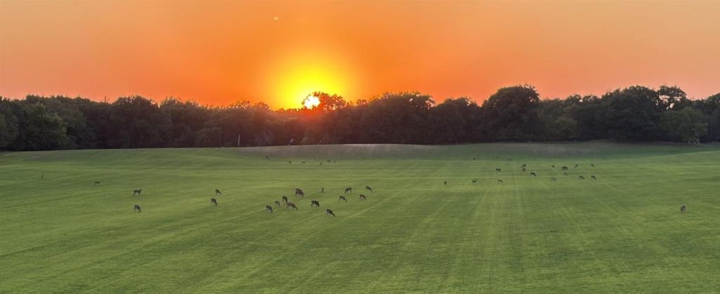 Photo of 95+/- AC Riverview Dr Acres ACRES, Montello, WI 53949 (MLS # 2018535)