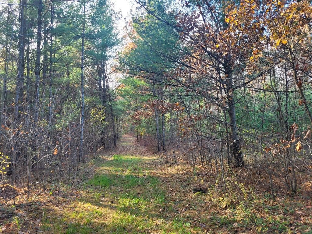 Photo of N10835 Kovar ROAD, Merrillan, WI 54741 (MLS # 1606219)