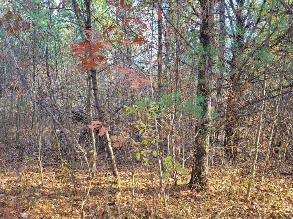Photo of N10835 Kovar ROAD, Merrillan, WI 54741 (MLS # 1606219)