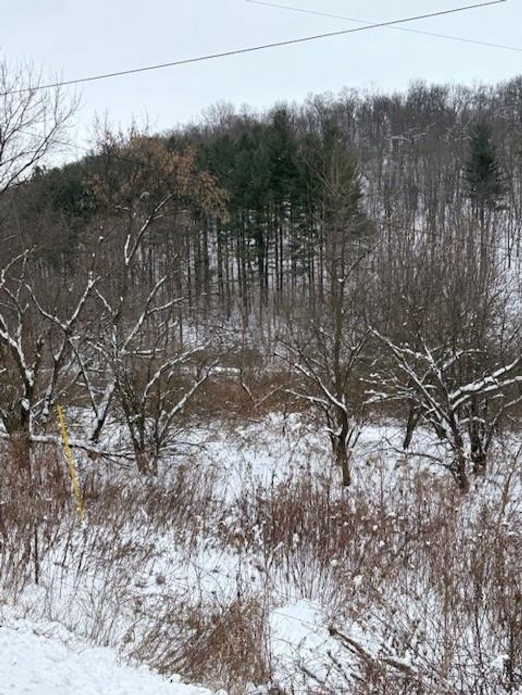 Photo of 20497 Hady LANE, Gays Mills, WI 54631 (MLS # 2013336)