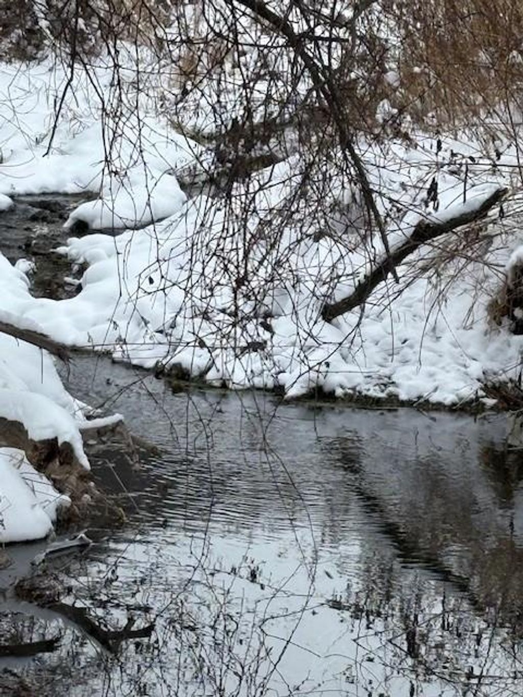 Photo of 20497 Hady LANE, Gays Mills, WI 54631 (MLS # 2013336)