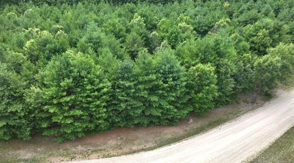 Photo of L16 Sandy Pines COURT, Redgranite, WI 54970 (MLS # 2020321)