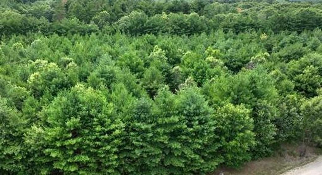 Photo of L16 Sandy Pines COURT, Redgranite, WI 54970 (MLS # 2020321)