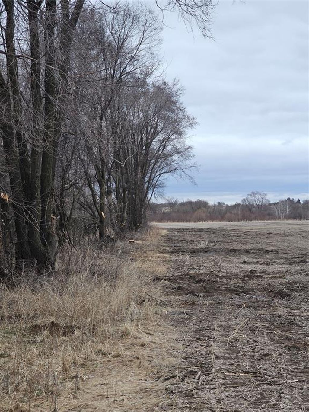 Photo of XXX 994th Avenue, Boyceville, WI 54725 (MLS # 1599497)