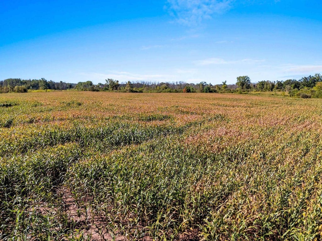 Photo of Highway 22, Bear Creek, WI 54922 (MLS # 50333240)