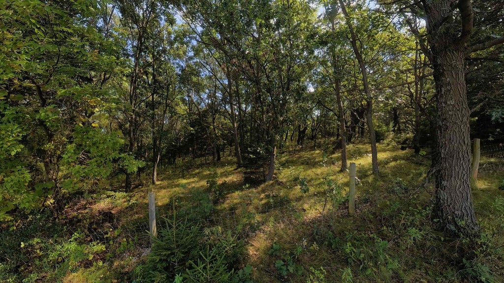 Photo of 45.86ac County Rd M, Westfield, WI 53964 (MLS # 2033502)