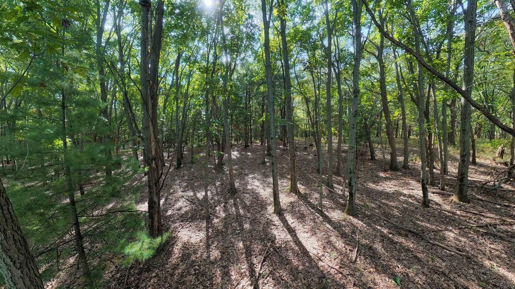 Photo of 45.86ac County Rd M, Westfield, WI 53964 (MLS # 2033502)