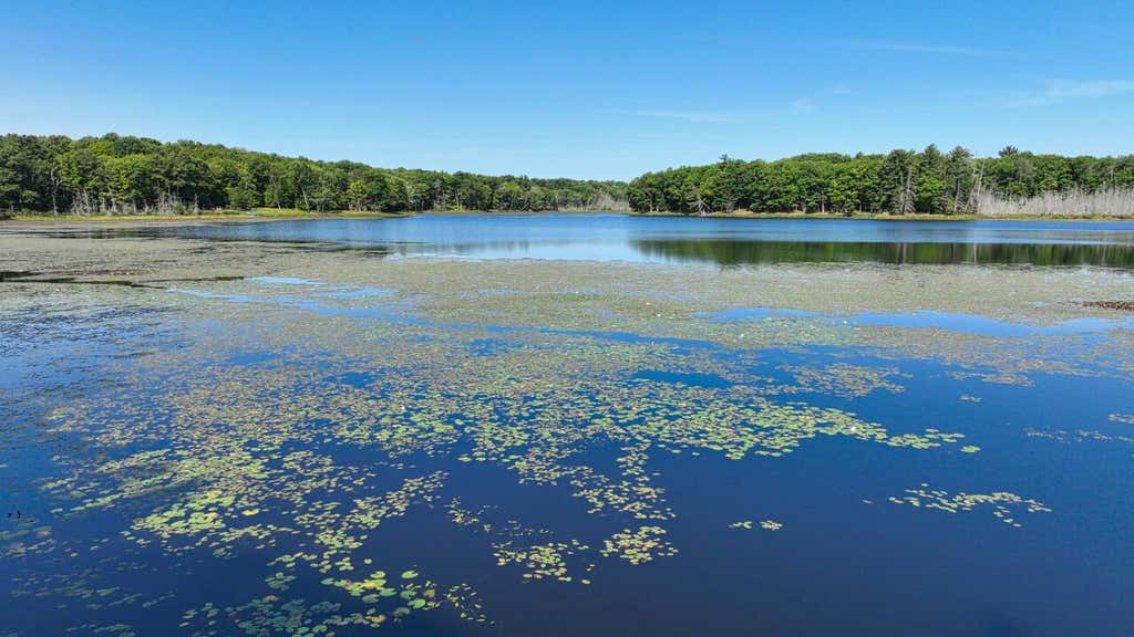 Photo of 6808 Highway 8, Rhinelander, WI 54501 (MLS # 1977349)
