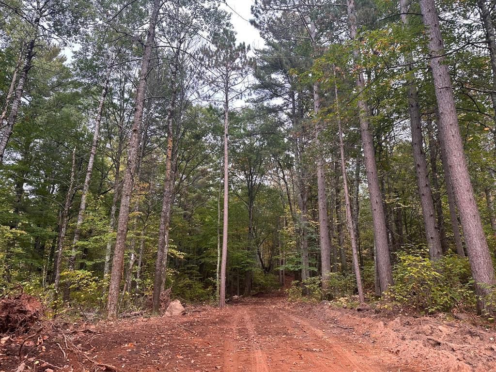 Photo of 0 Sabin ROAD, Hayward, WI 54843 (MLS # 1599776)