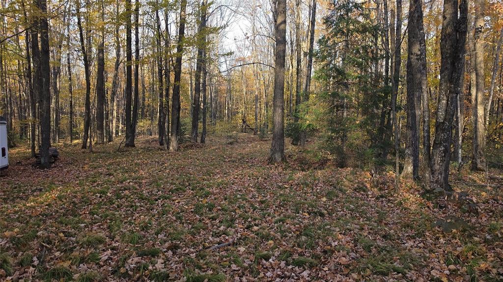 Photo of W2675 Forestview LANE, Phillips, WI 54555 (MLS # 1606045)