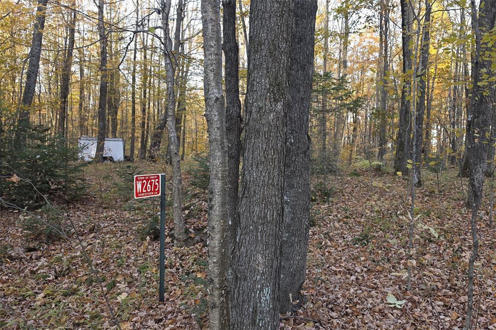 Photo of W2675 Forestview LANE, Phillips, WI 54555 (MLS # 1606045)