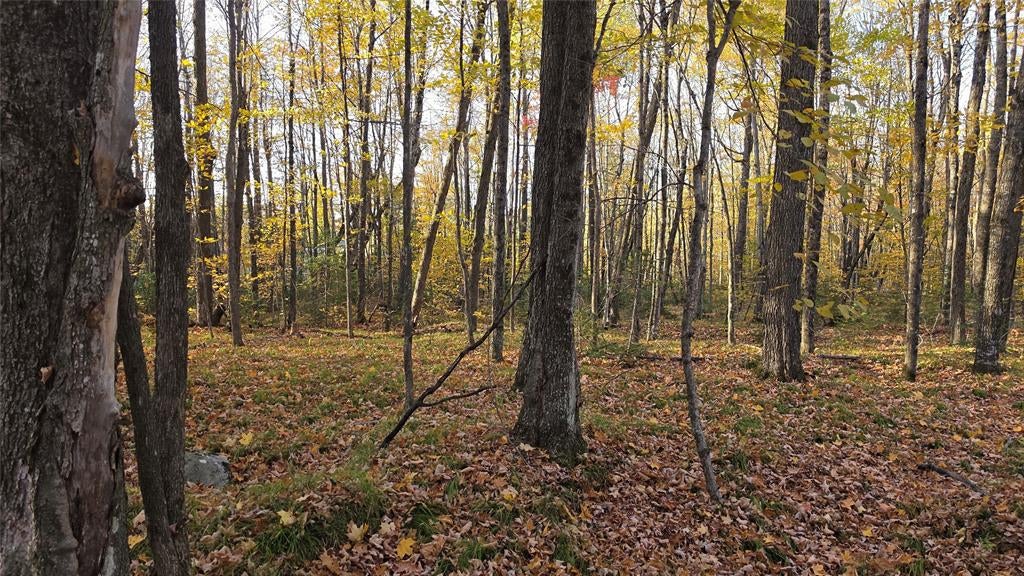 Photo of W2675 Forestview LANE, Phillips, WI 54555 (MLS # 1606045)